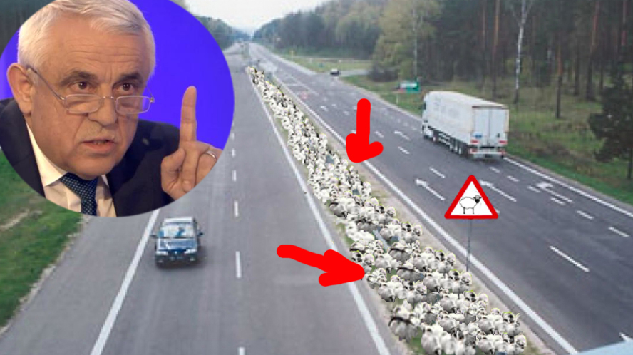 Petre Daea: "Vom construi autostrăzi cu bandă specială pentru oi!"