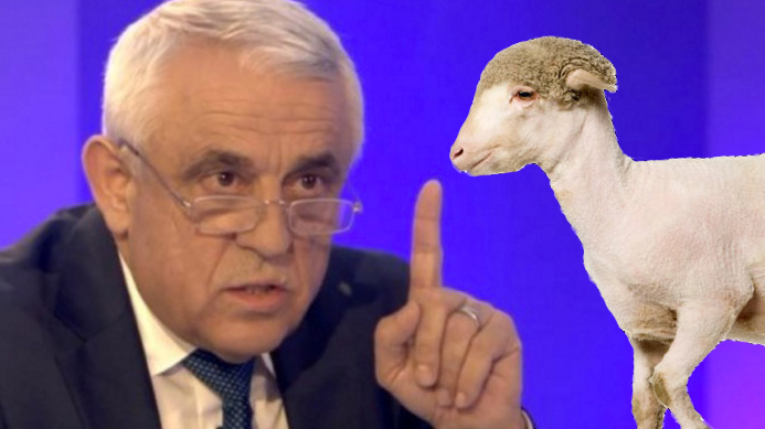 Petre Daea: "În România, oile se nasc gata shaved, nu se mai poartă hairy!"