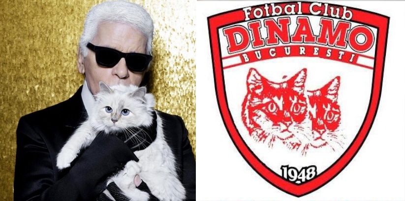 Pisica lui Karl Lagerfeld a cumpărat clubul Dinamo!