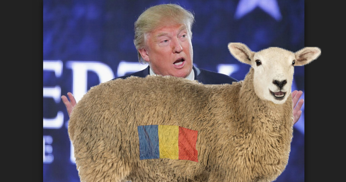 Donald Trump cere României oi ca să atace Coreea de Nord!