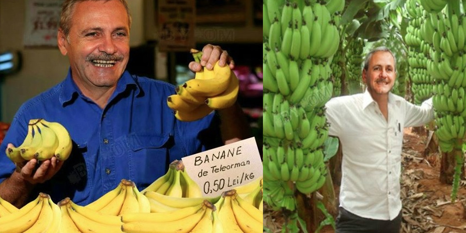 Un țăran din Teleorman a reușit să producă în livada proprie primele banane românești