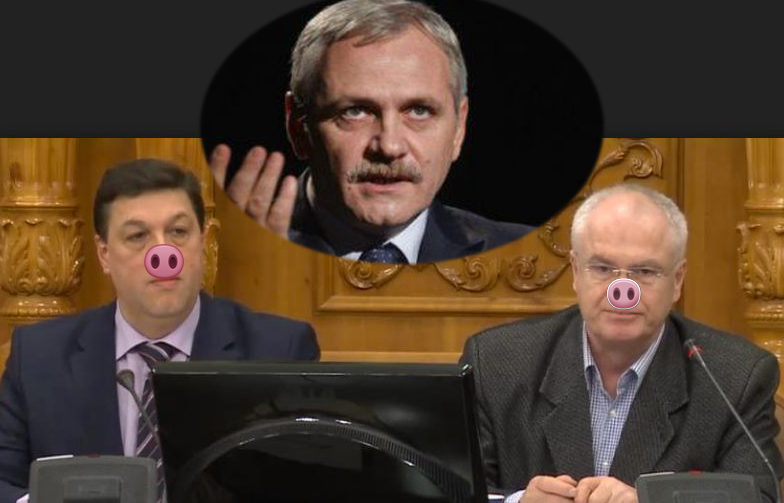Alertă! Dragnea mai are o fermă de porci și în Parlamentul României!