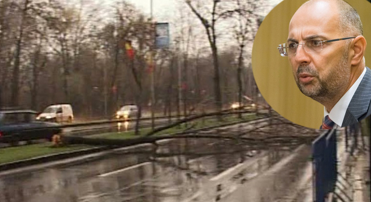 UDMR a revendicat furtuna care a doborât azi 65 de copaci în București!
