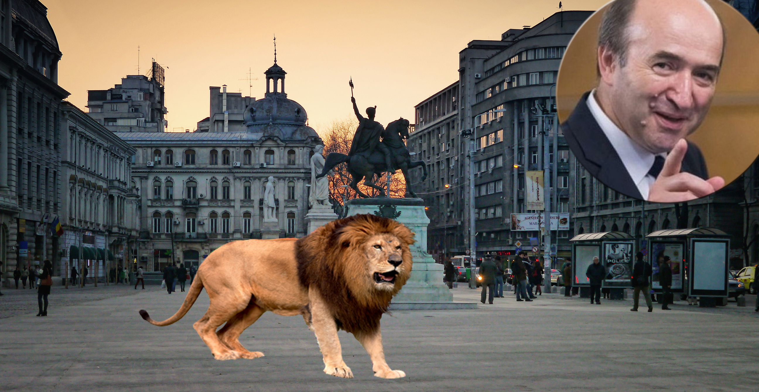 Teroare în București: Tudorel a eliberat și leul de la Zoo!