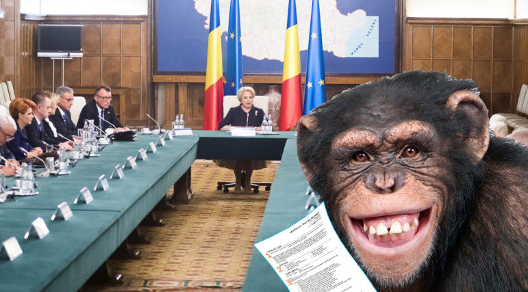 O maimuță a pătruns în sediul Guvernului și și-a depus CV-ul pentru un post de ministru, poate chiar premier!