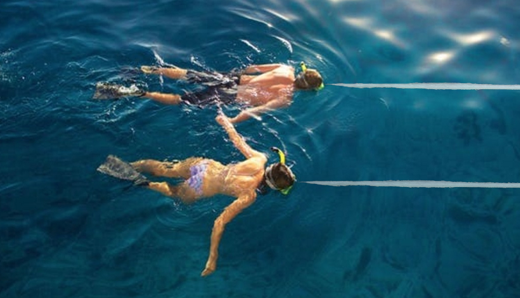 Nebunie la Mamaia: lumea a început să facă snorkeling!