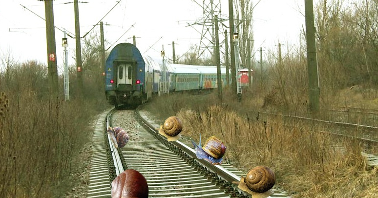 Haos feroviar spre Constanța: un tren se târâie pe șine și melcii nu au pe unde să treacă!