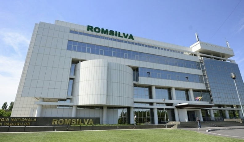 În România se taie 3 hectare de pădure pe oră. Iar ăsta e sediul Romsilva!