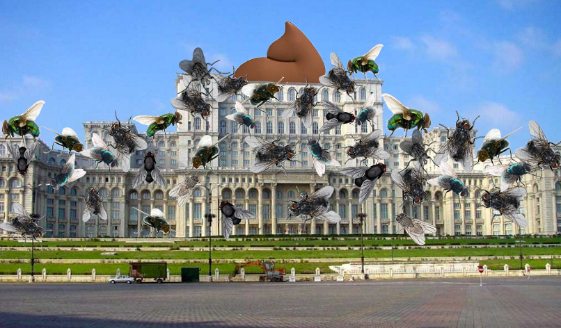 Alertă! Parlamentul României a fost acoperit integral de muște!