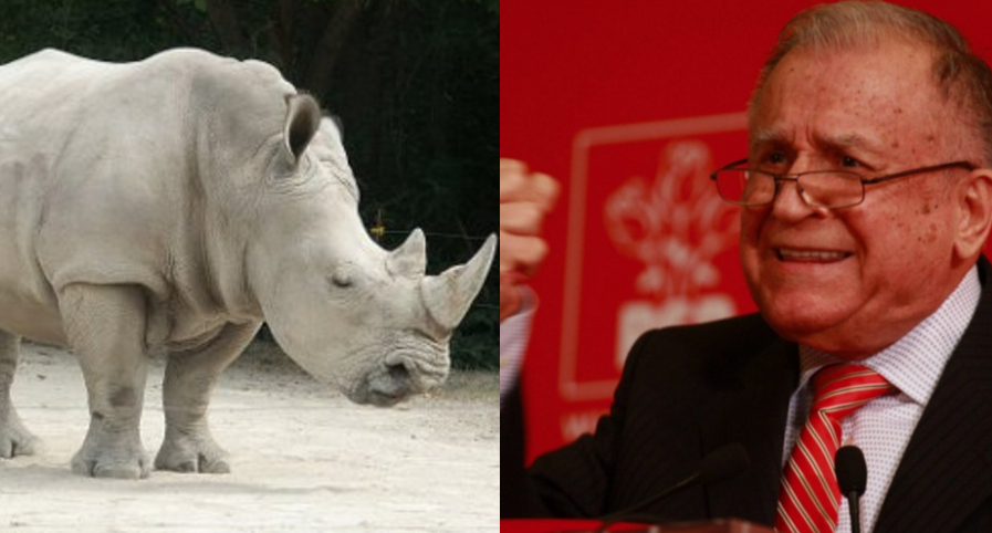 A dispărut rinocerul alb. Dinozaurul roșu rezistă