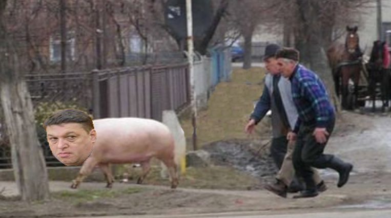 Șerban Nicolae, alergat pe stradă de câțiva fermieri care au confundat pesta porcină cu ciuma roșie!