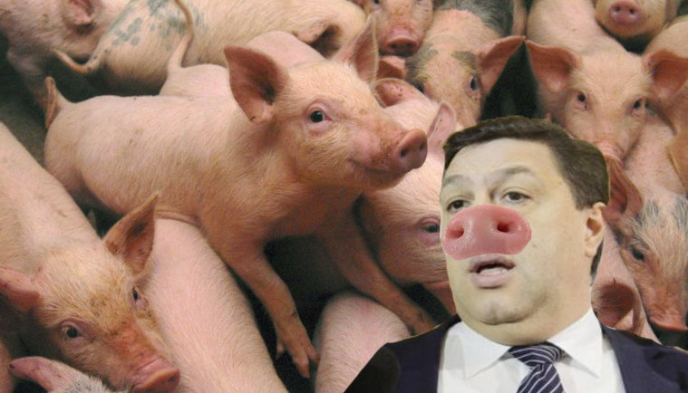 Zeci de mii de porci s-au înscris în PSD ca să scape de pesta porcină, ca Șerban Nicolae!