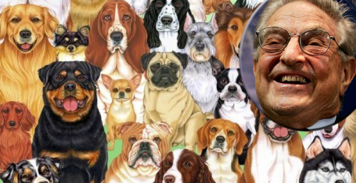 Sute de câini îl acuză de Soros că le datorează bani de aproape 2 ani!