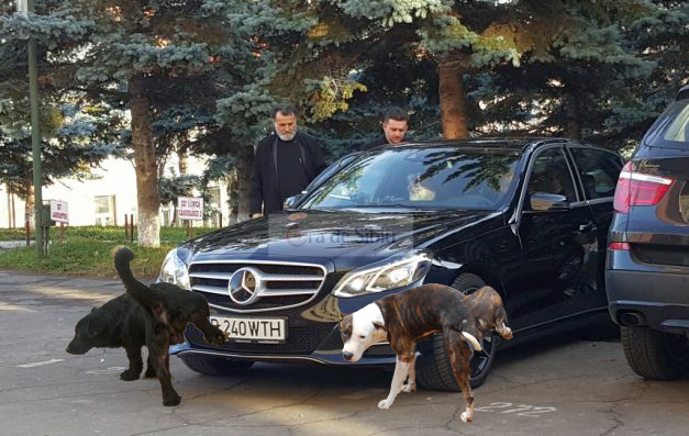 Mitropolitul Ardealului a blestemat doi câini care s-au pișat pe Merțanul lui de 70.000 de euro