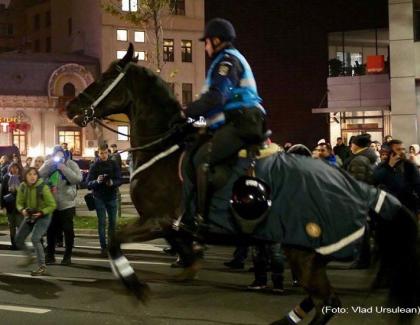 Carmen Dan pune în pericol viața protestatarilor și a cailor ca să-l pupe-n c_r pe Dragnea!