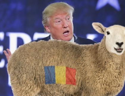 Alertă! Donald Trump cere României oi ca să atace Coreea de Nord!