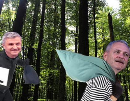 S-a aflat cine comite jafurile de la Sinești: în pădure are loc Tabăra de vară a PSD!