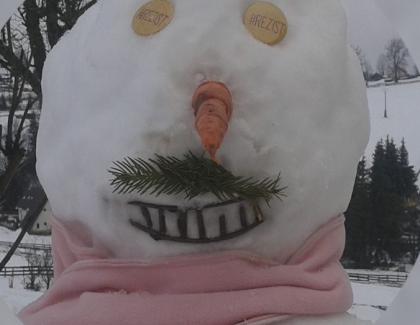 Ajutați un biet om de zăpadă