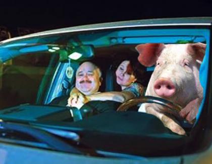 Ca să scape de Ignat, un porc s-a angajat șofer la un penal din PSD!