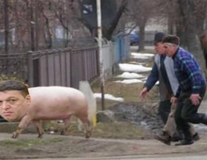 Șerban Nicolae era să fie tăiat de rudele de la țară după ce acestea l-au confundat cu un porc!
