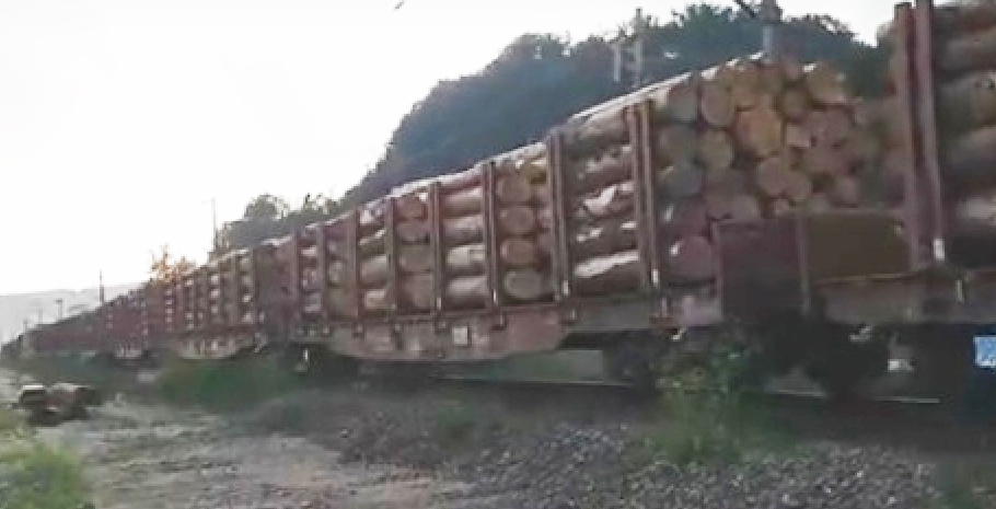 Prăpăd în Maramureş: vântul a doborât 20 de hectare de pădure direct în vagoanele unui tren care mergea spre Austria!