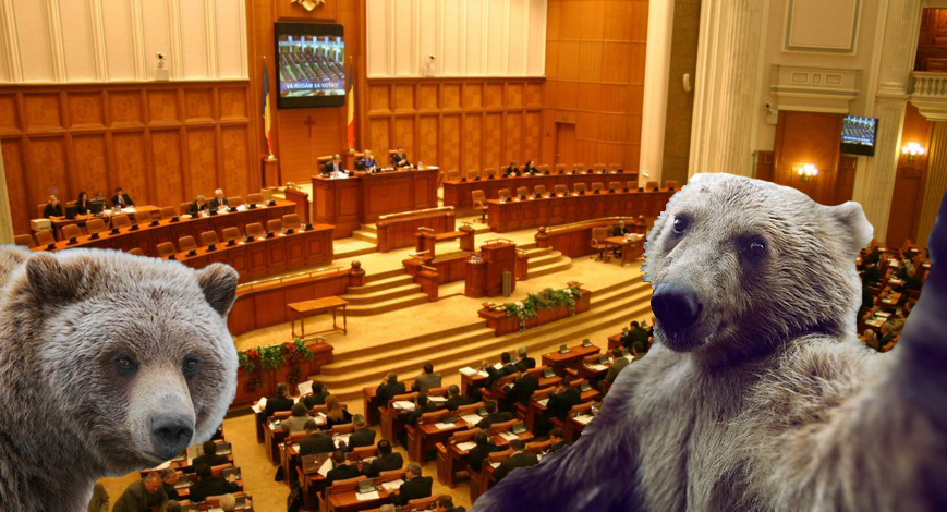 Parlamentul României, invadat de urși din cauza gunoaielor care sunt înăuntru!